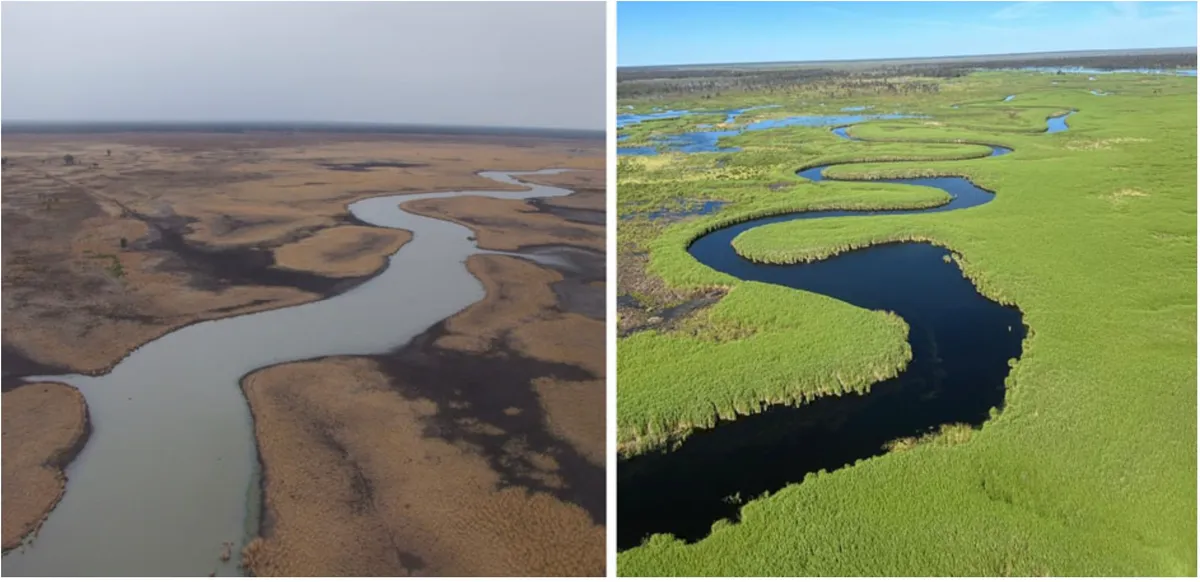 Indigenous organization buys wetland property in Australia to help conserve it