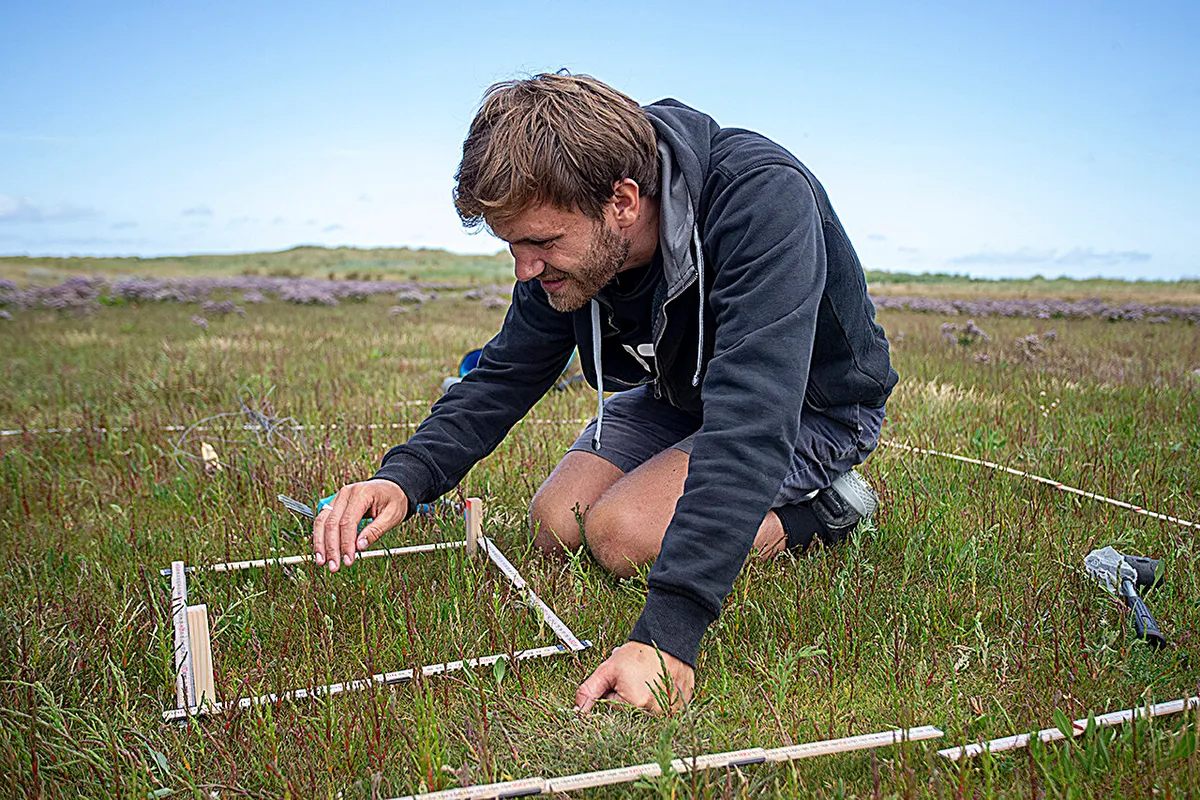 Seabird poop is actually helping islands fight rising sea levels