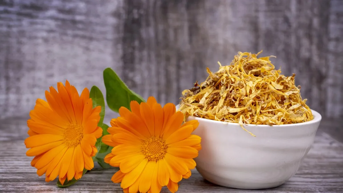 Protein-packed flower upends what we see as edible