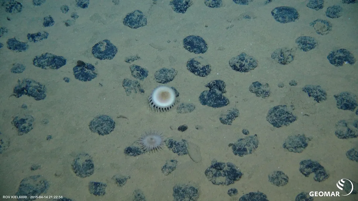 Six African Nations Just Hit Pause on the Deep-Sea Gold Rush