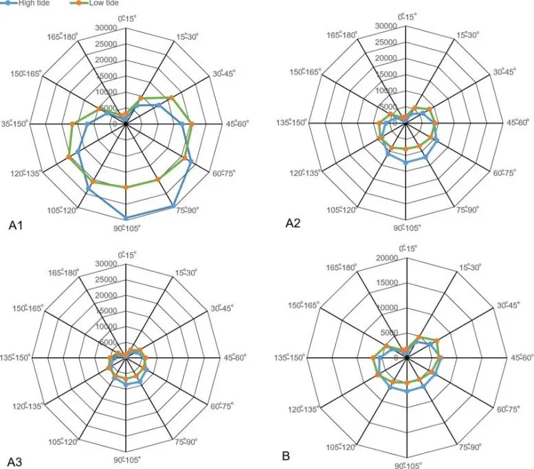 Textbooks May Be Wrong: Satellite Data Challenge the Two-Bulge Tide Model