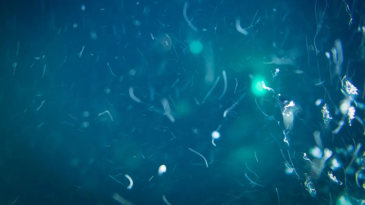 Deep-Sea Microbes Just Found a Secret All-You-Can-Eat Buffet
