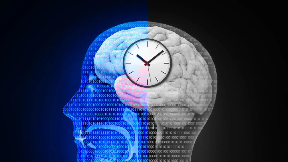 Brain's Timing System Unlocks Cognitive Dominance