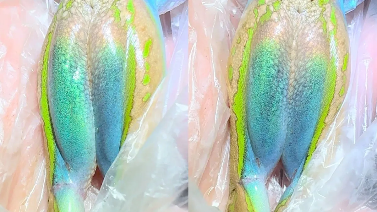This Famous Frog Just Revealed a Hidden, Shifting Blue Secret