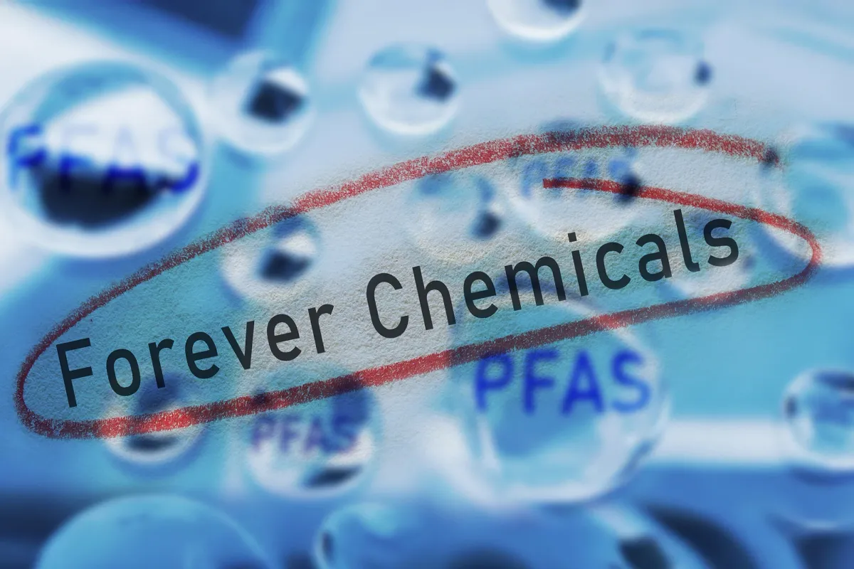 Common Environmental Chemical May Sabotage Early Pregnancy, New Study Warns