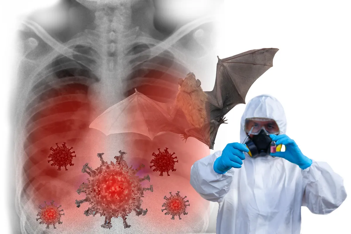 A Single Amino Acid Flips a Bat Virus Into a Human Menace