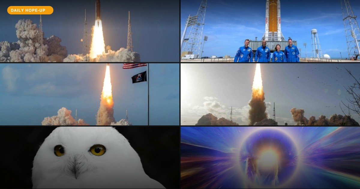 Today's Hope-Up: Humans Are Moon-Bound, and Hammerheads Are Looking Up