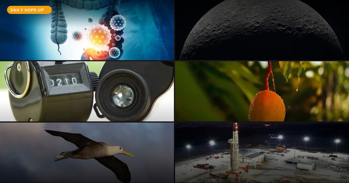 Today's Hope-Up: Earth Got a Close-Up, Humans Got a Check-Up, and Birds Got Found