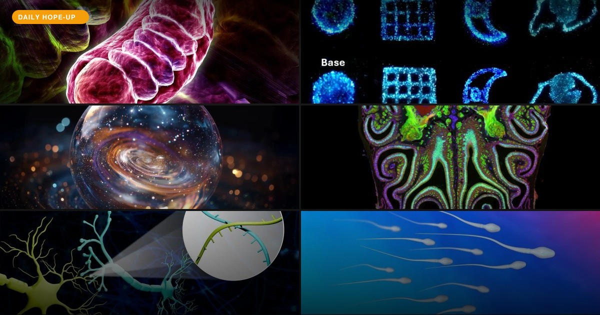 Today's Hope-Up: Your Brain Got a Spring Cleaning and the Universe Got Woven for Life
