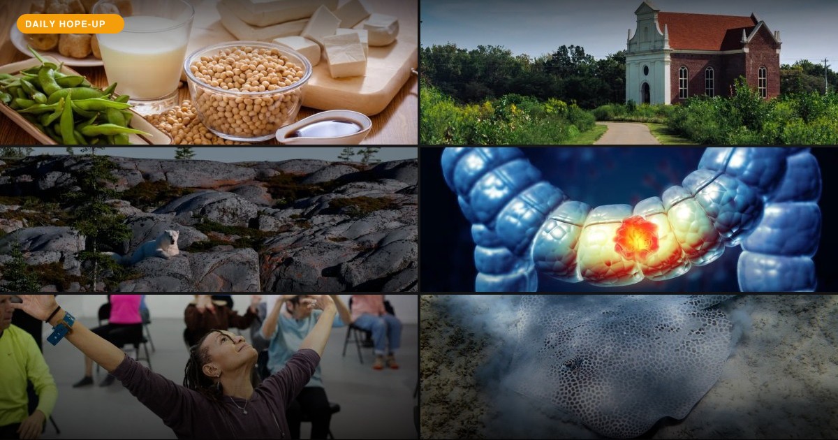 Today's Hope-Up: Ancient Clues, Modern Solutions, and a Whole Lot of Dancing