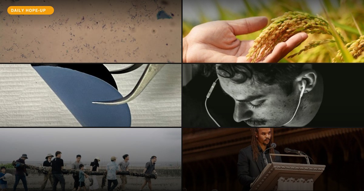 Today's Hope-Up: The Brain's Secret Life, Community Power, and a TB Test Revolution