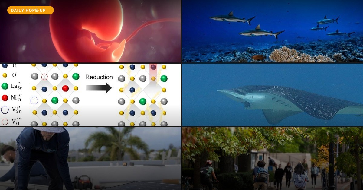 Today's Hope-Up: The Ocean Got a Boost, and Science Got Tiny