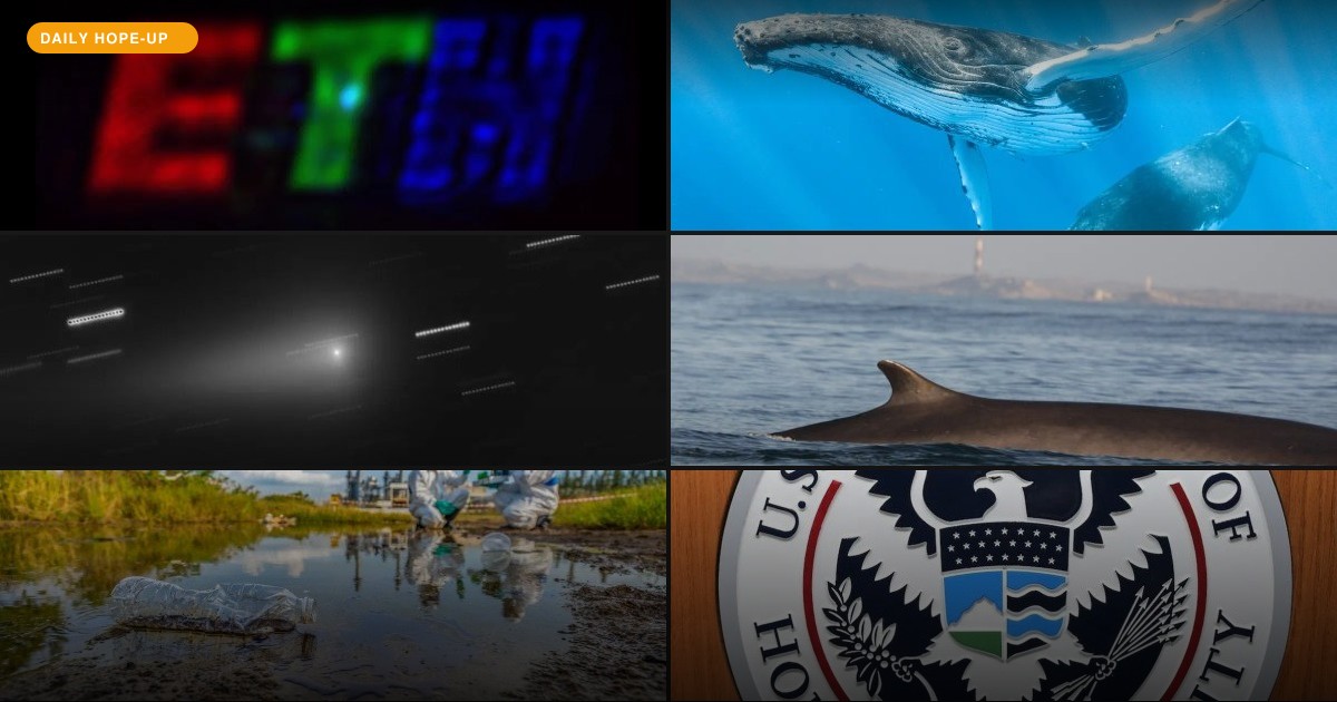 Today's Hope-Up: Whales, Langurs, and a Guy with a Checkbook