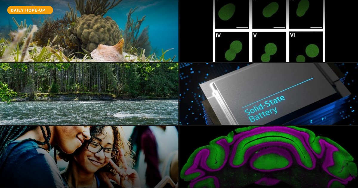 Today's Hope-Up: AI Found Hidden Lawns, Then Learned to Build a Potato