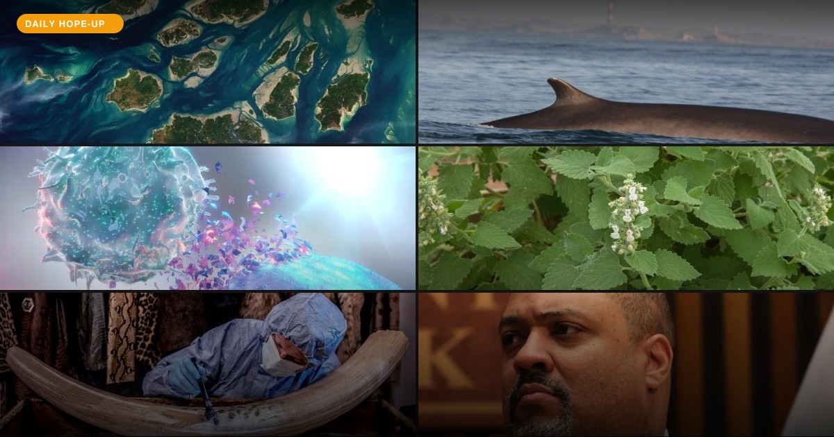 Today's Hope-Up: The Ocean Had a Really Good Day