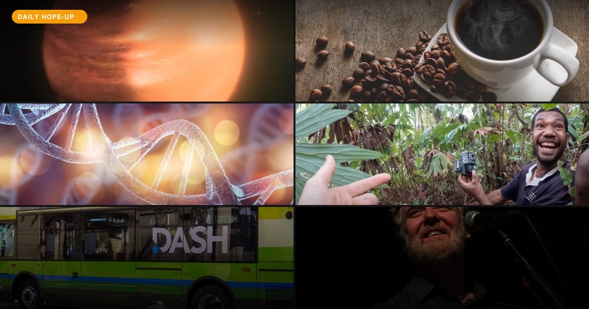 Today's Hope-Up: A Pigeon Reappears, DNA Unzips, and the World Gets a Bit Quieter