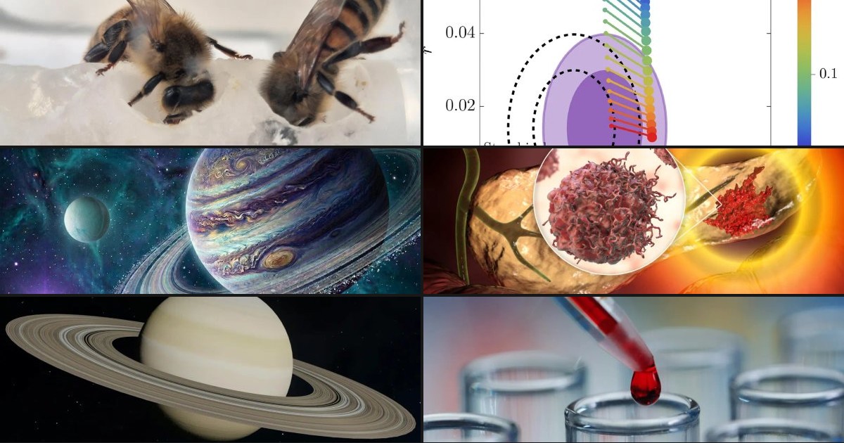 Your Week in Hope: Science Is Rewriting the Rulebook, from Bees to Black Holes